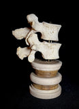 Item 15. Double vert stand