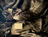 Item 5. Taxidermy rook