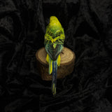 Taxidermy “Green Budgie”