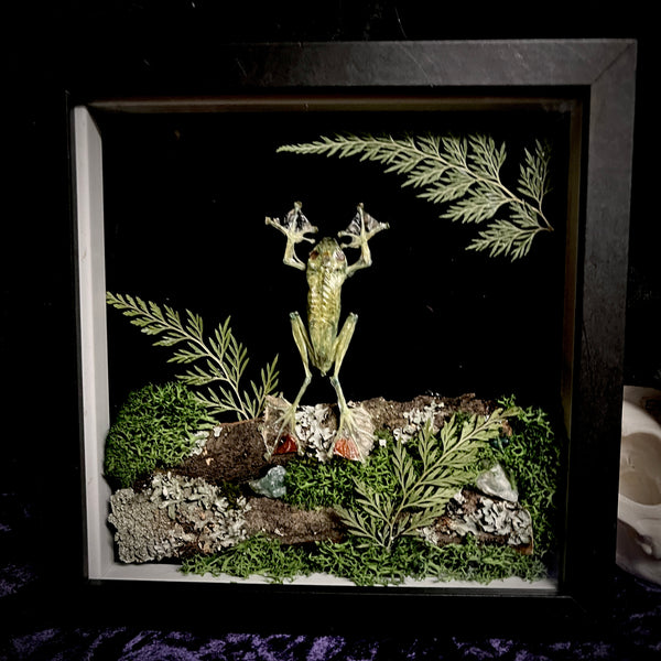 Tropical frog frame