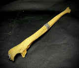 Item 14. Human bone pick