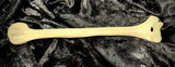 Human humerus (arm bone)