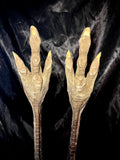 Item 7. Ostrich legs