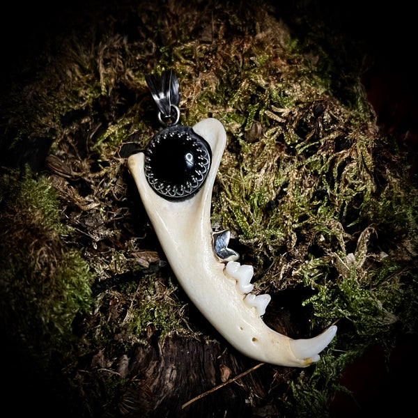 Cat mandible pendant