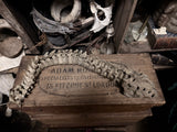 Articulated human spine