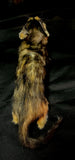 Item 2. Taxidermy kitten