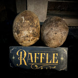 Human skull raffle