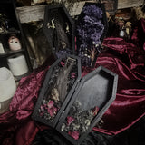 Taxidermy Fruit Bat - Mini Curio Coffin