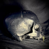 Item 5. Vampire skull