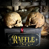 Human skull OR Mystery box
