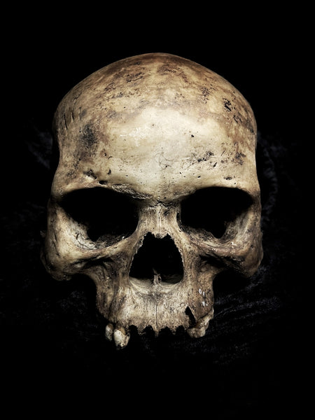 Human skull