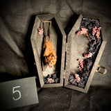 Item 5. Taxidermy bat coffin