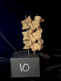 Item 10. Triple vert stand