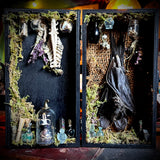 Taxidermy fruit bat apothecary box