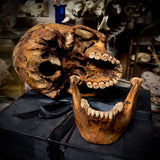 Human skull with mandible