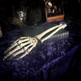 Medically articulated (Left) Human Hand and Arm