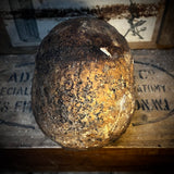 Human skull with mandible