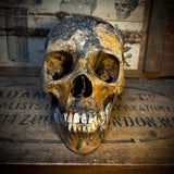 Human altar skull with mandible