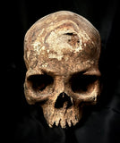 A human skull