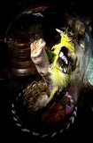 Taxidermy Eurasian Siskin