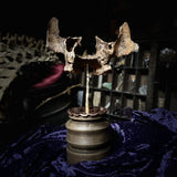 Human maxilla on stand