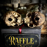 Human skull OR Mystery box