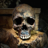 Human skull