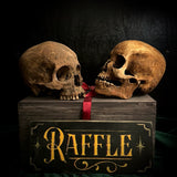 Human skull OR Mystery box