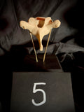 Item 5. Human vert stand