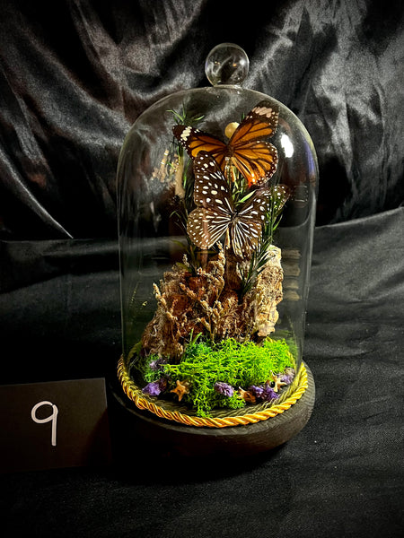 Item 9. Butterly dome