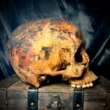 Item 14. Human skull