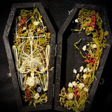 Fruit bat skeleton mini coffin