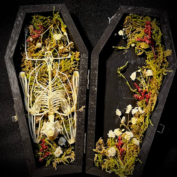 Fruit bat skeleton mini coffin