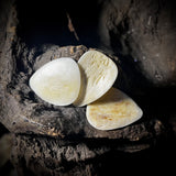 Set of 3 human femur guitar picks