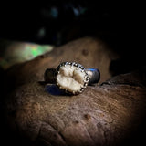 Tooth ring (made to order)