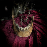 A mandible