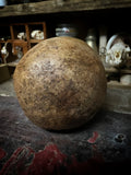 A human skull