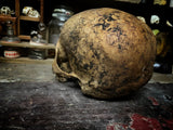 A human skull