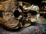 A human skull