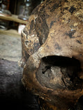 A human skull