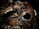A human skull