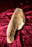 Painted mammoth bone