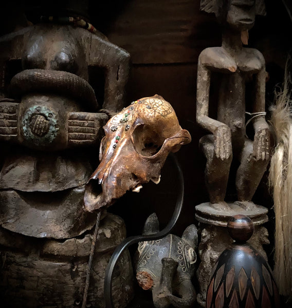 Tribal dog skull