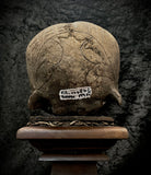 Dayak style carved human trophy skull