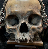 Asmat style skull