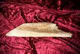 Painted mammoth bone