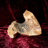 Large Painted mammoth bone