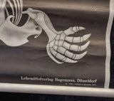 Lehrmittelverlag Hagemann 1974 poster of Mole skeletal system