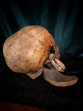 Rare Ifugao skull