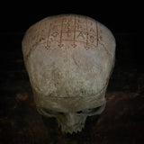 Custom made Skull with scrying bowl